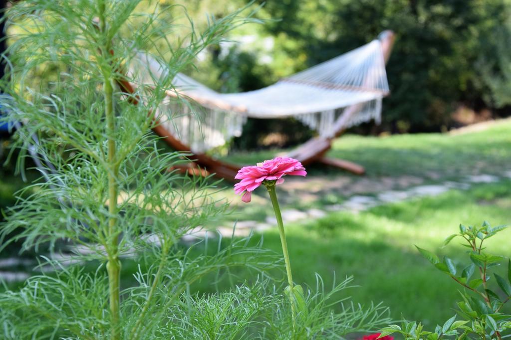 Golden Horn Guest House Iszkrec Kültér fotó